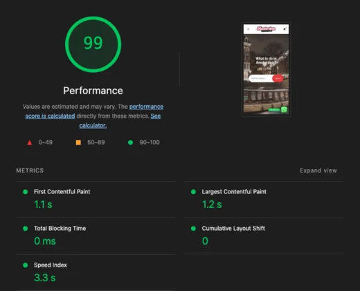 Website performance audit example
